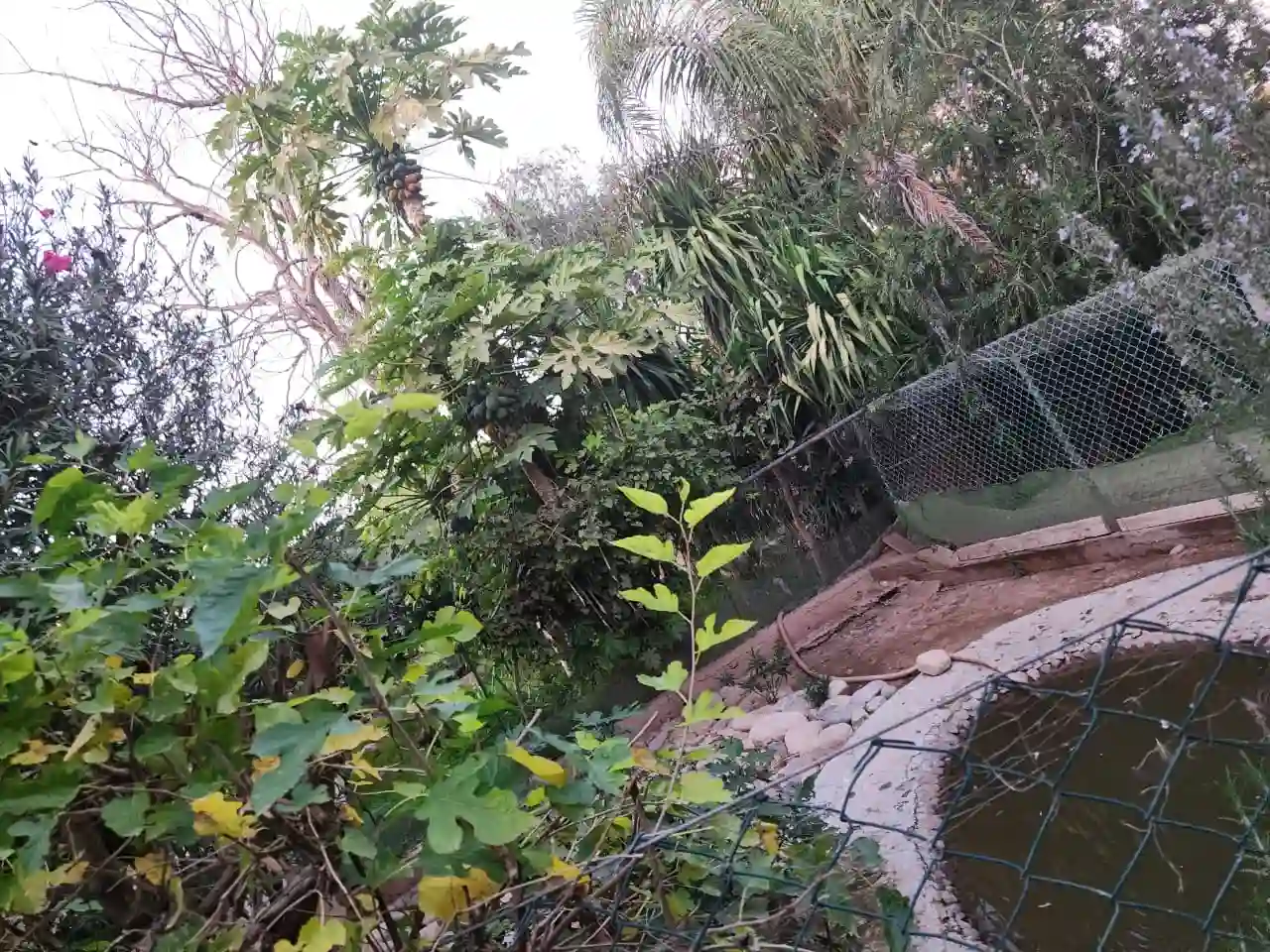 Riad de Bois de genévrier. — photo 12 — réf. R1144AAEX