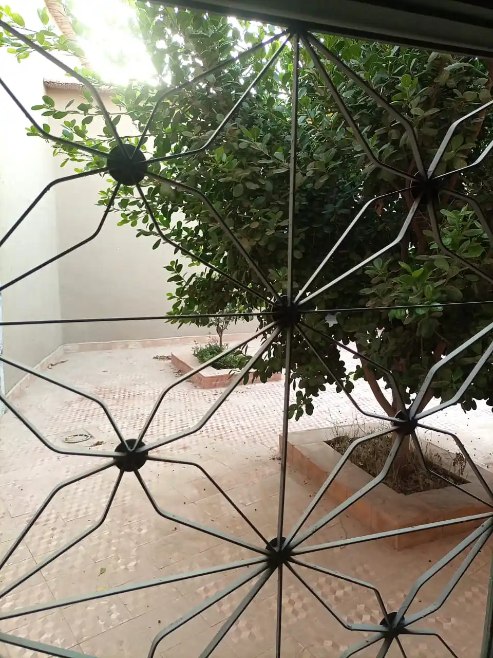 à vendre deux Riads Zellige — photo 16 — réf. R85MM
