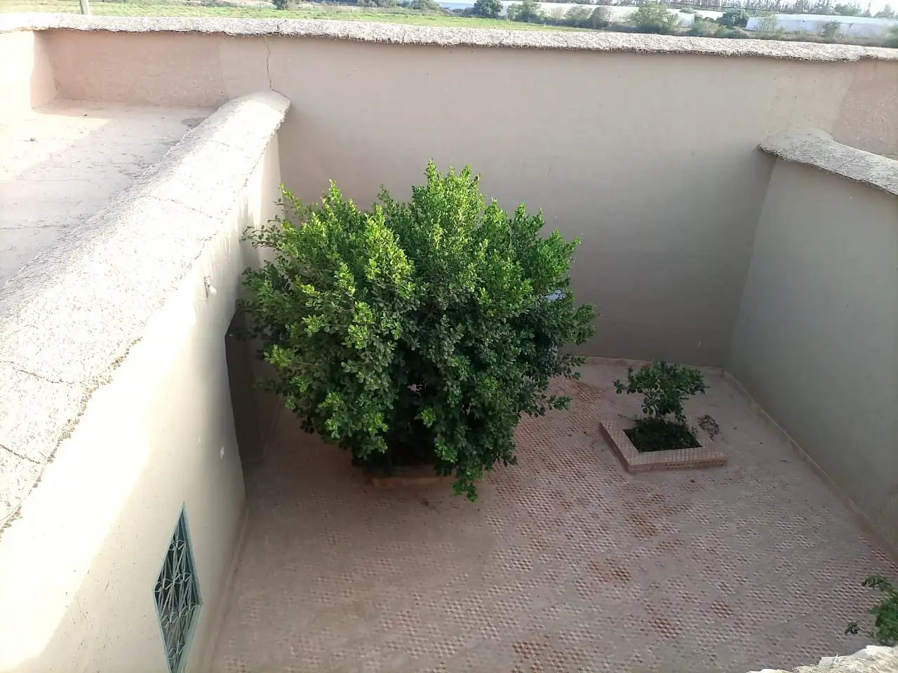 à vendre deux Riads Zellige — photo 29 — réf. R85MM