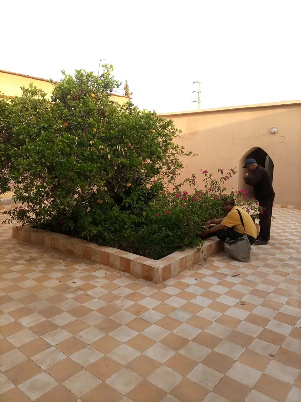 à vendre deux Riads Zellige — photo 8 — réf. R85MM