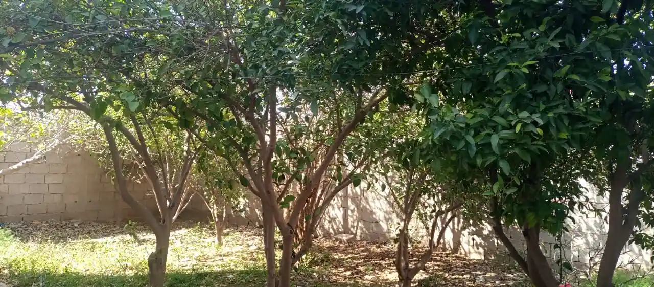 Maison avec jardin — Réf. MKJ11 — photo 16 — réf. MKJ11