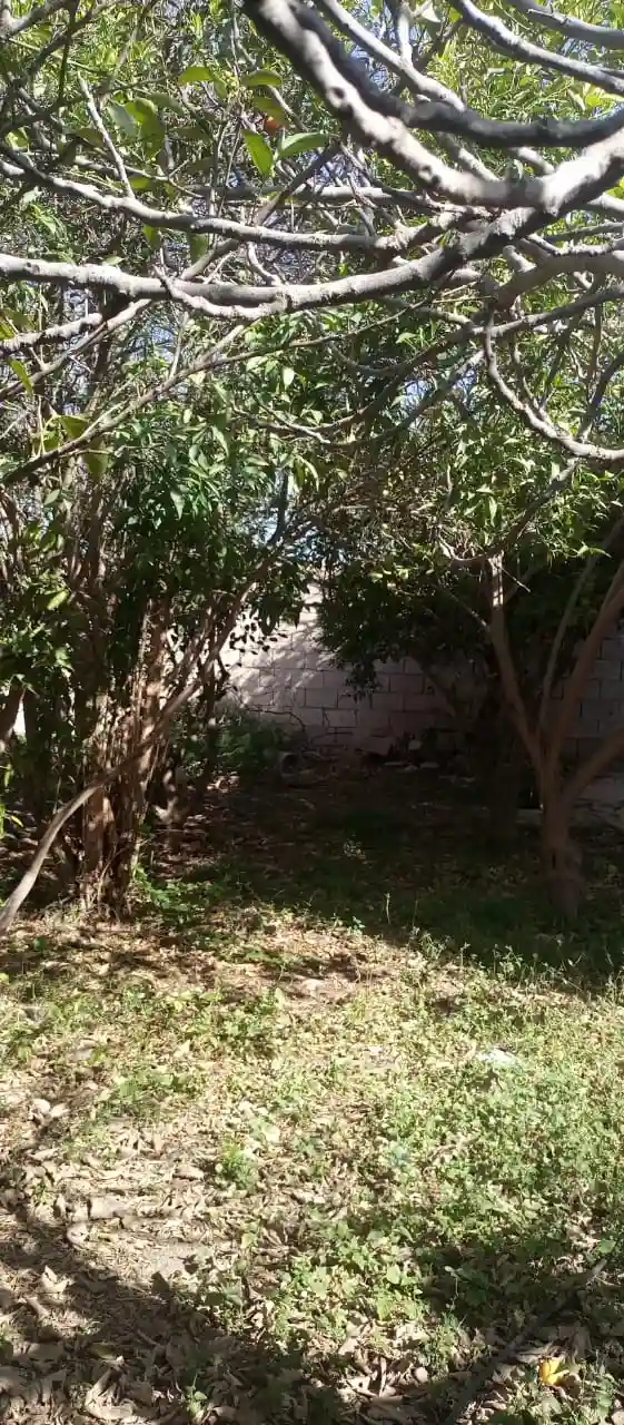 Maison avec jardin — Réf. MKJ11 — photo 17 — réf. MKJ11