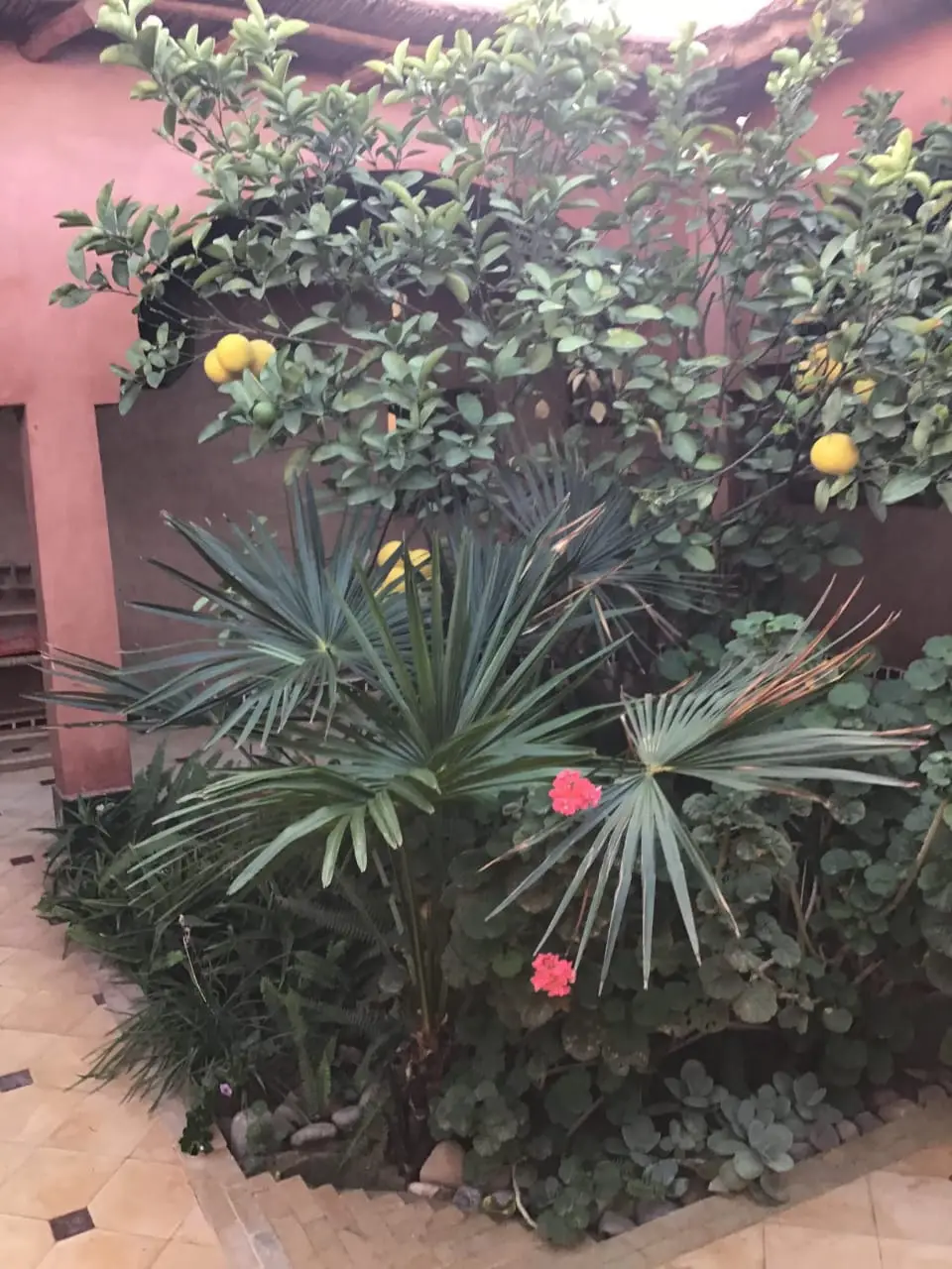 Riad avec piscine et Jardin. — photo 8 — réf. R551UBZ