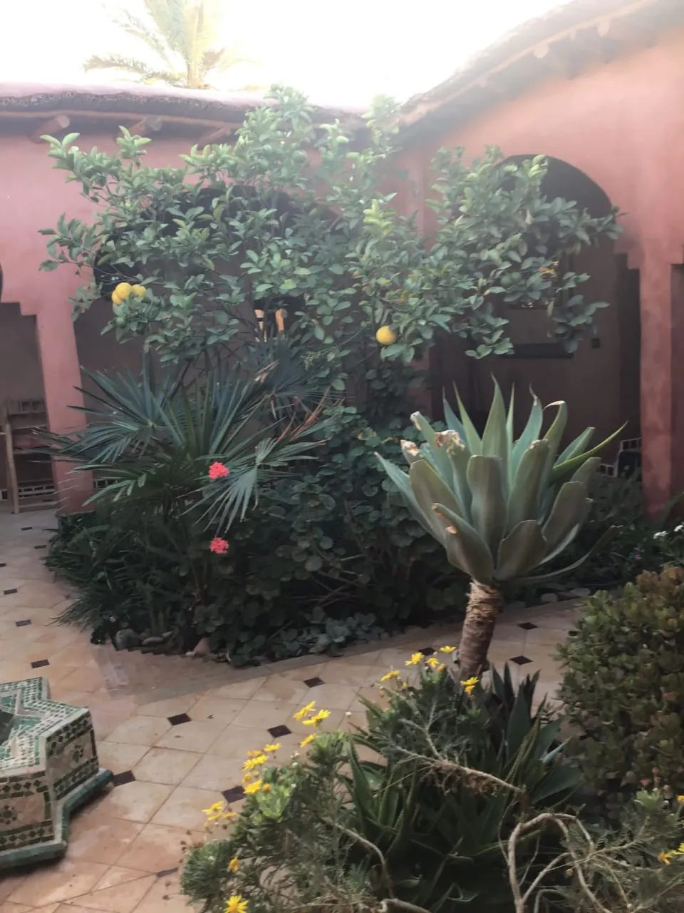 Riad avec piscine et Jardin. — photo 6 — réf. R551UBZ