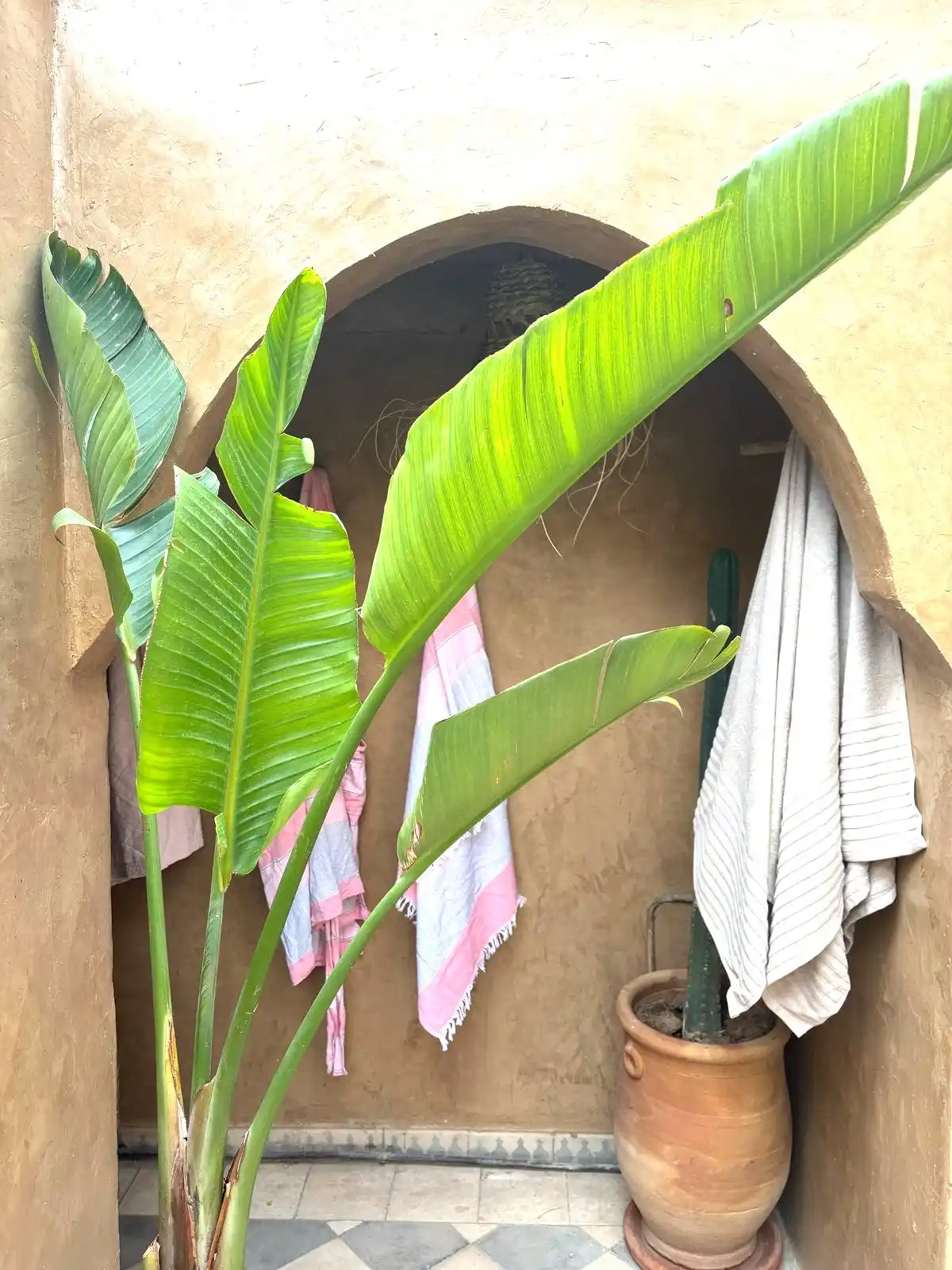 La Perle de Taroudant. (VENDU) — photo 52 — réf. R66GVN