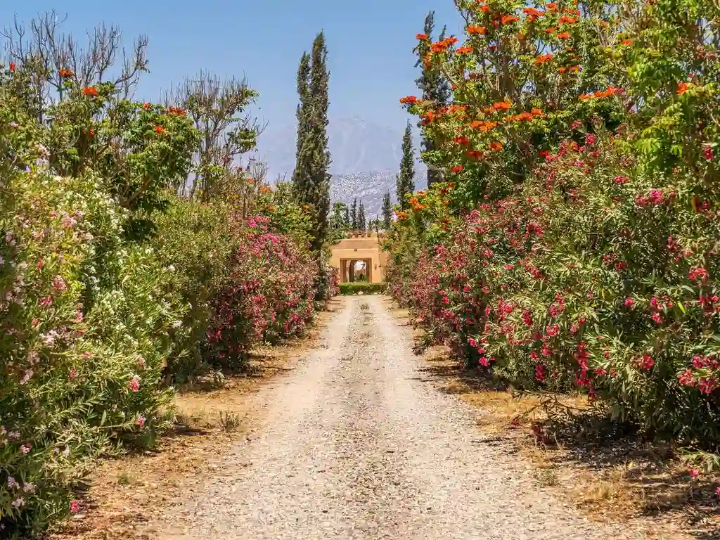 Exceptionnelle Riad avec Jardin de 20Ha — photo 30 — réf. R100OLCX