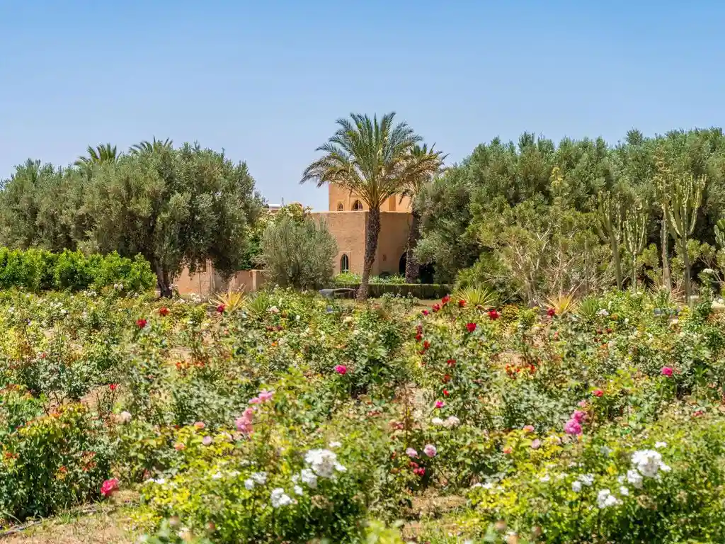 Exceptionnelle Riad avec Jardin de 20Ha — photo 26 — réf. R100OLCX