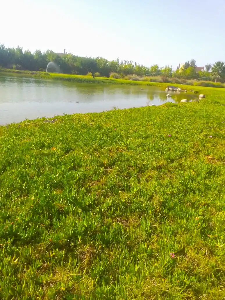 Riad avec un lac pour les oiseaux migrateurs — photo 11 — réf. R1XKW9
