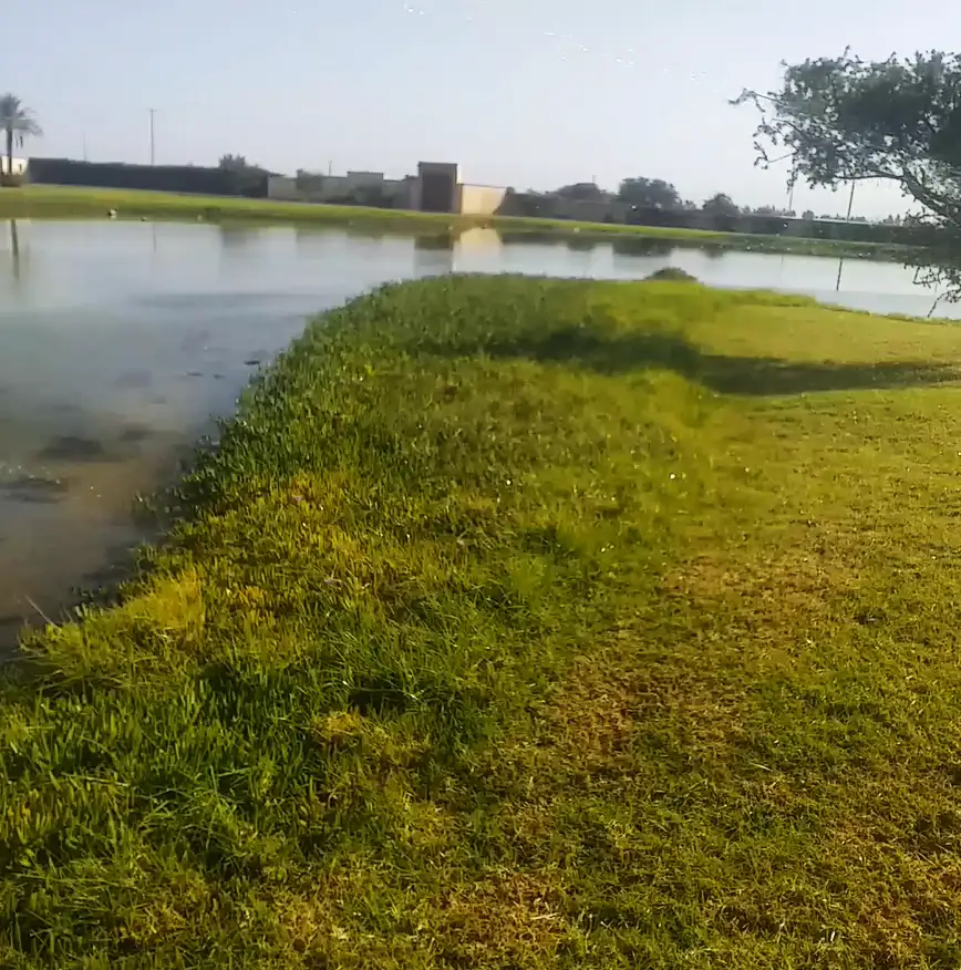 Riad avec un lac pour les oiseaux migrateurs — photo 12 — réf. R1XKW9