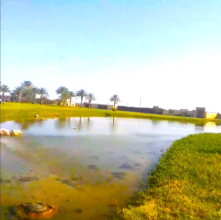 Riad avec un lac pour les oiseaux migrateurs — photo 14 — réf. R1XKW9