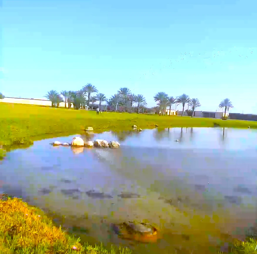 Riad avec un lac pour les oiseaux migrateurs — photo 16 — réf. R1XKW9
