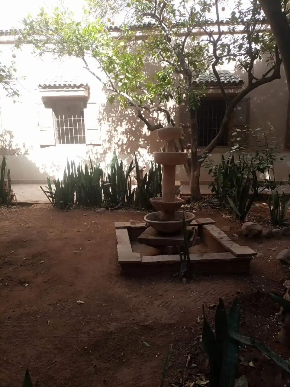 Riad Originale avec piscine et jardin. — photo 13 — réf. R558FFT20Z