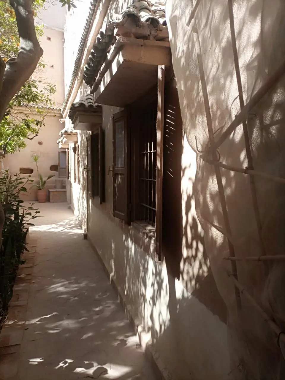 Riad Originale avec piscine et jardin. — photo 14 — réf. R558FFT20Z