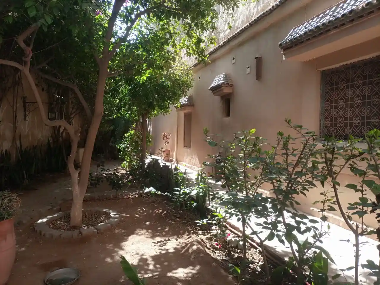 Riad Originale avec piscine et jardin. — photo 16 — réf. R558FFT20Z
