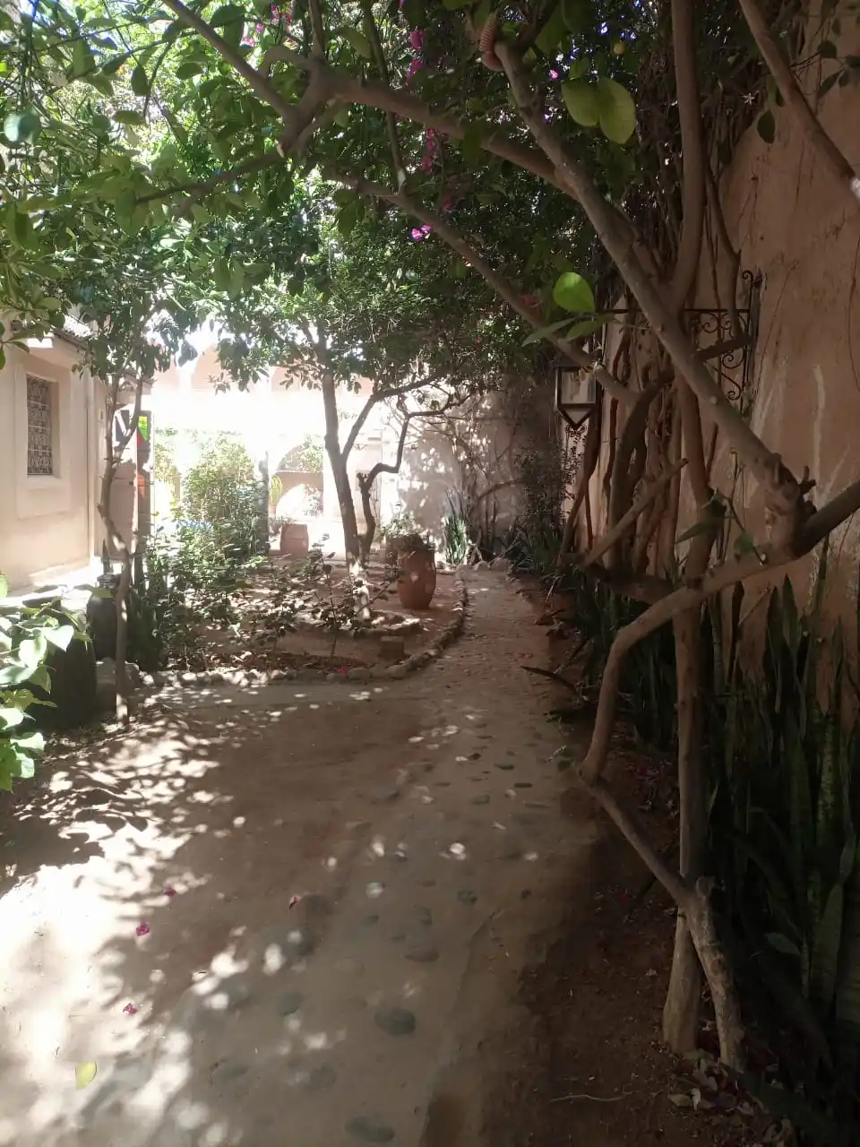 Riad Originale avec piscine et jardin. — photo 18 — réf. R558FFT20Z