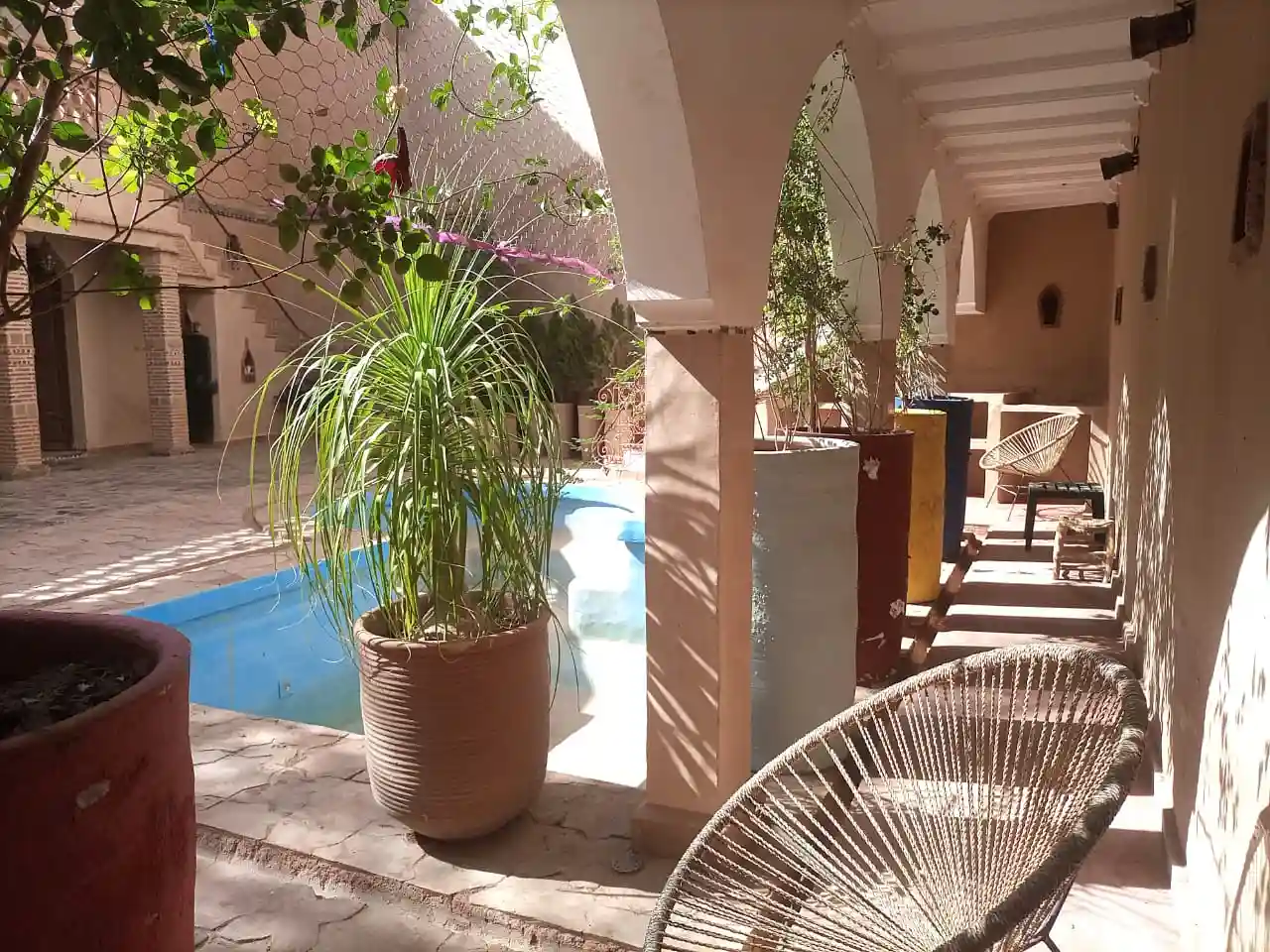 Riad Originale avec piscine et jardin. — photo 21 — réf. R558FFT20Z