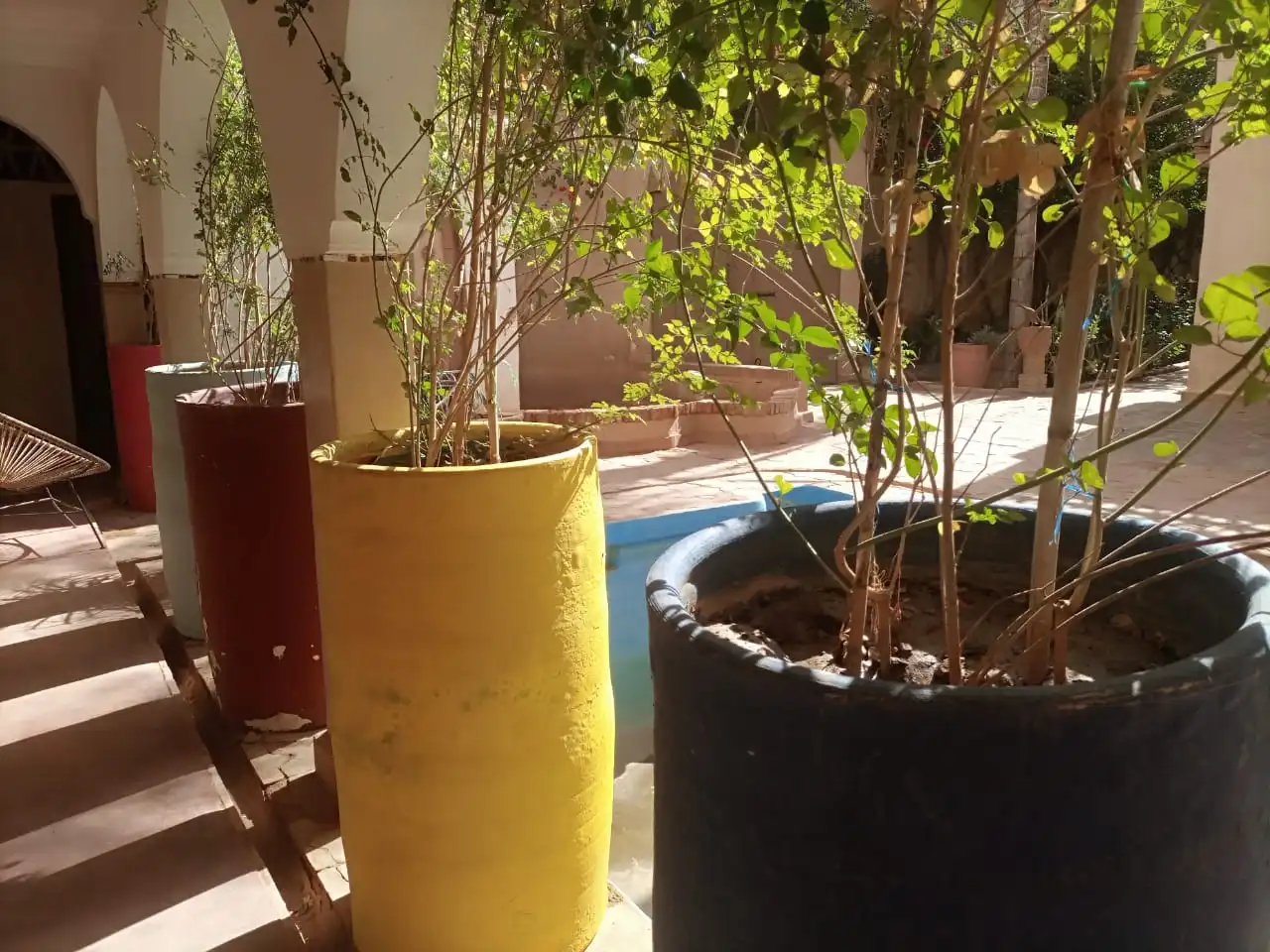 Riad Originale avec piscine et jardin. — photo 22 — réf. R558FFT20Z