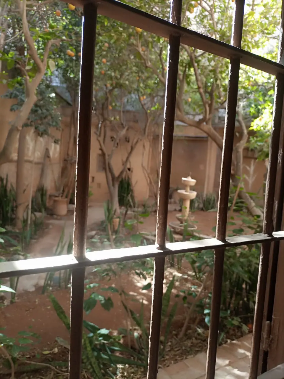 Riad Originale avec piscine et jardin. — photo 34 — réf. R558FFT20Z