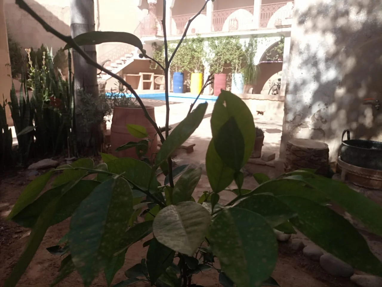Riad Originale avec piscine et jardin. — photo 6 — réf. R558FFT20Z