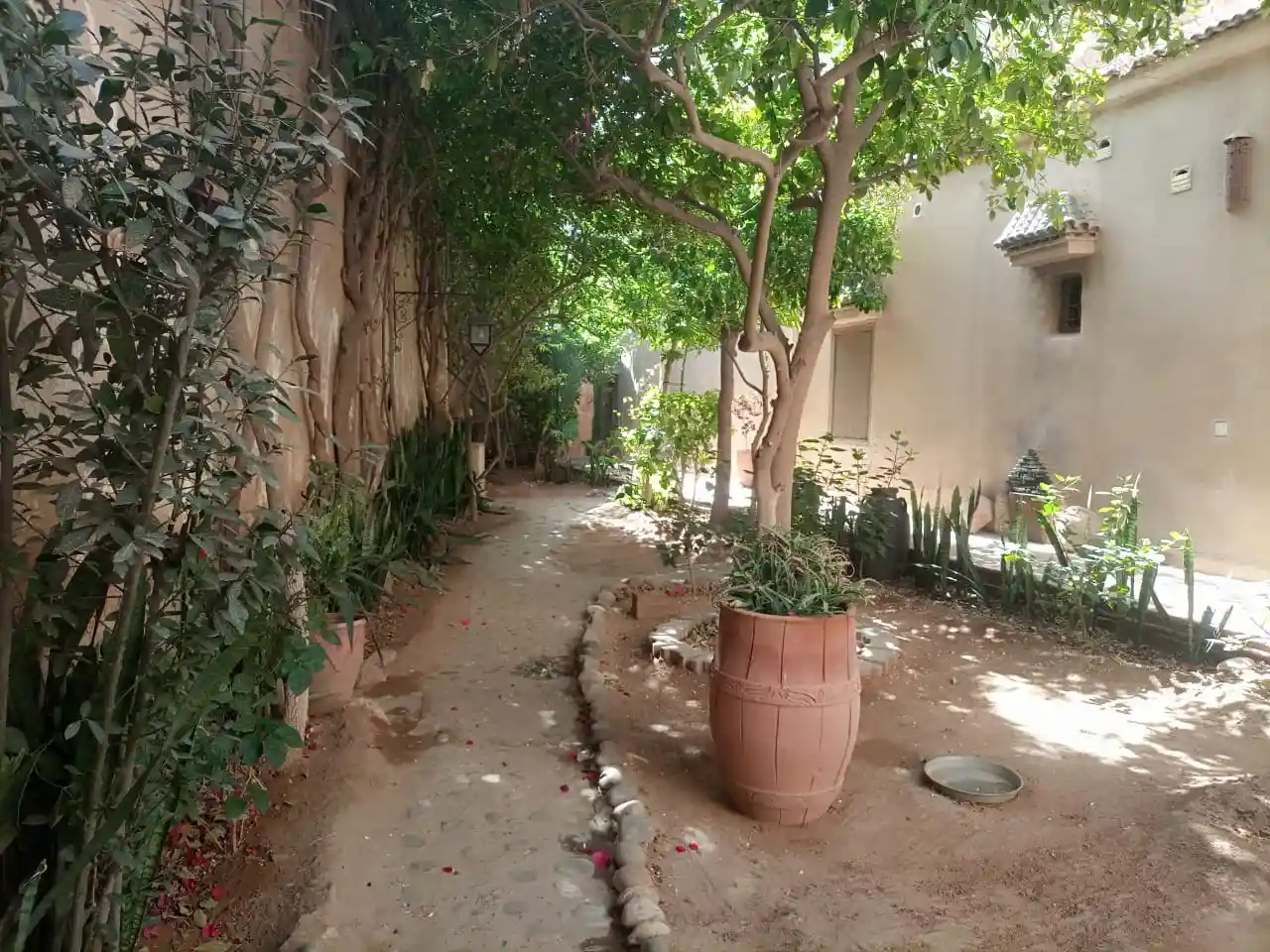 Riad Originale avec piscine et jardin. — photo 7 — réf. R558FFT20Z