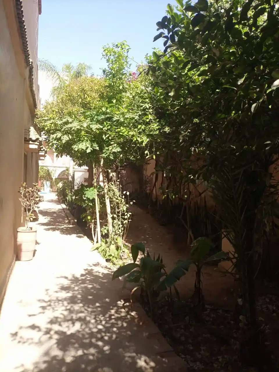 Riad Originale avec piscine et jardin. — photo 9 — réf. R558FFT20Z