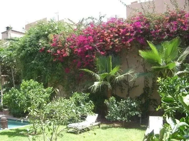 Riad du Paradis — photo 4 — réf. R44R77Y