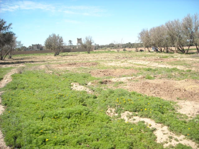 Terrain à vendre à Taroudant Maroc — Réf. M14177 — photo 4 — réf. M14177
