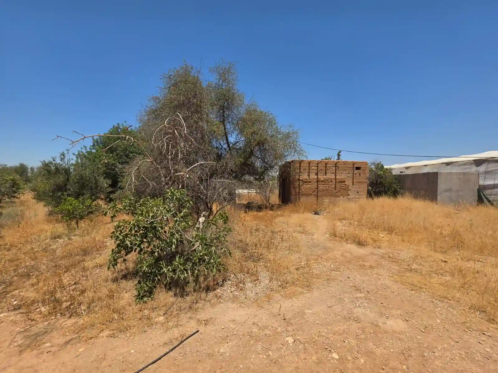 Terrain de 4 700 m² avec vue sur l’Atlas — photo 12 — réf. THNBG33