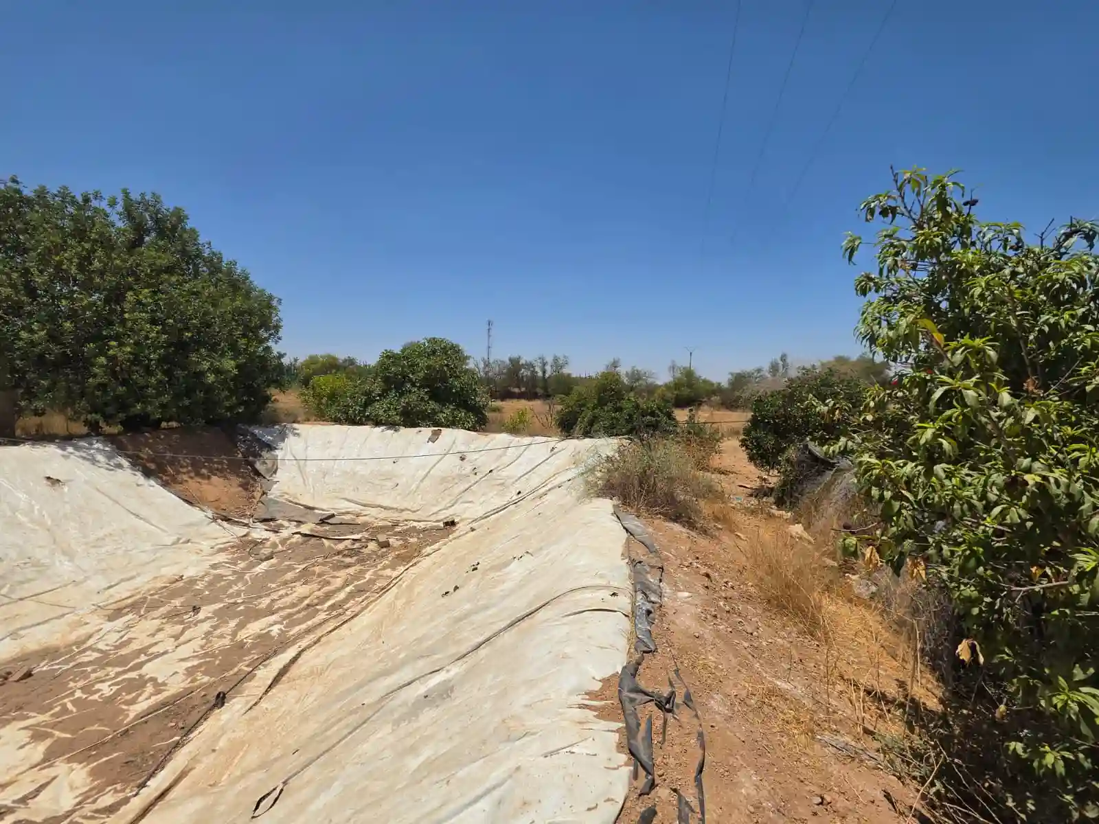 Terrain de 4 700 m² avec vue sur l’Atlas — photo 7 — réf. THNBG33