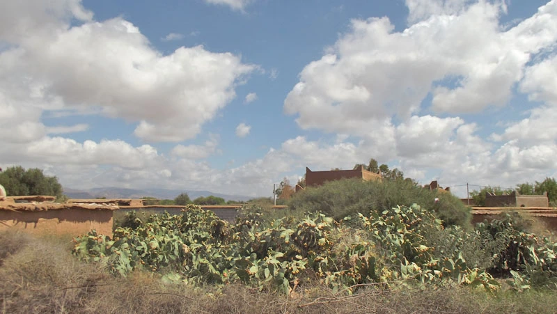 Maison Taroudant à vendre — Réf. M12406 — photo 8 — réf. M12406