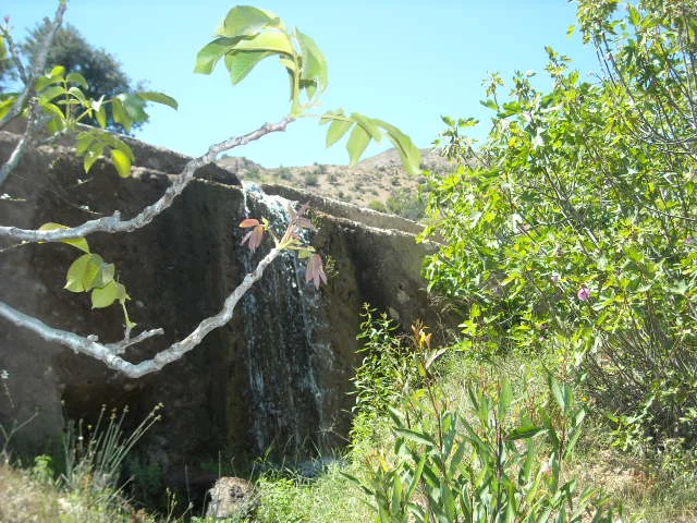 Ferme avec ressources d'eau — photo 16 — réf. F13386
