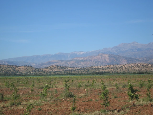 Vente ferme aTaroudant — Réf. F12473 — photo 2 — réf. F12473