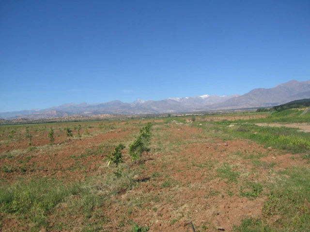 Vente ferme aTaroudant — Réf. F12473 — photo 5 — réf. F12473