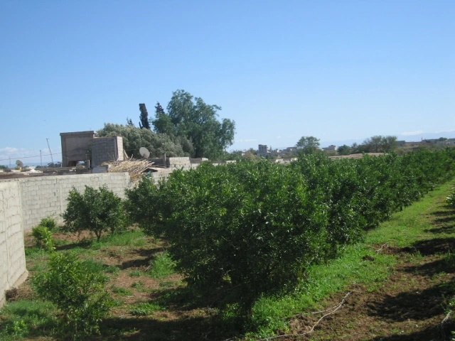 Vente ferme titré à Taroudant — Réf. F12552 — photo 3 — réf. F12552