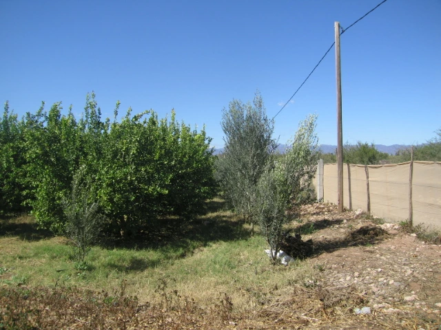 Vente ferme titré à Taroudant — Réf. F12564 — photo 3 — réf. F12564