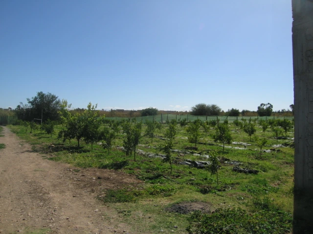 Vente ferme titré à Taroudant — Réf. F12564 — photo 11 — réf. F12564
