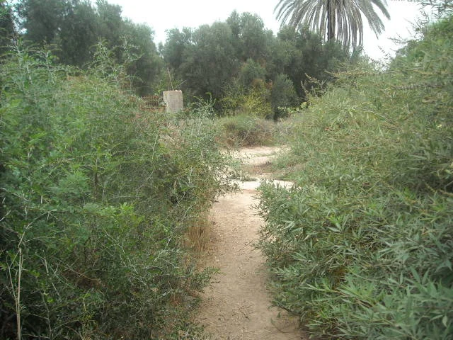 Ferme Taroudant — Réf. F13552 — photo 1 — réf. F13552
