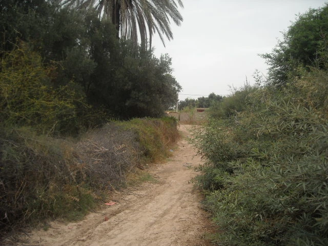 Ferme Taroudant — Réf. F13552 — photo 4 — réf. F13552