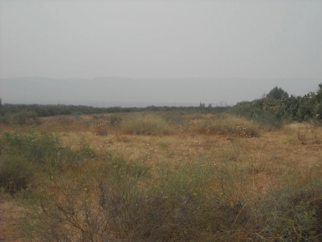 Ferme Taroudant — Réf. F13552 — photo 6 — réf. F13552