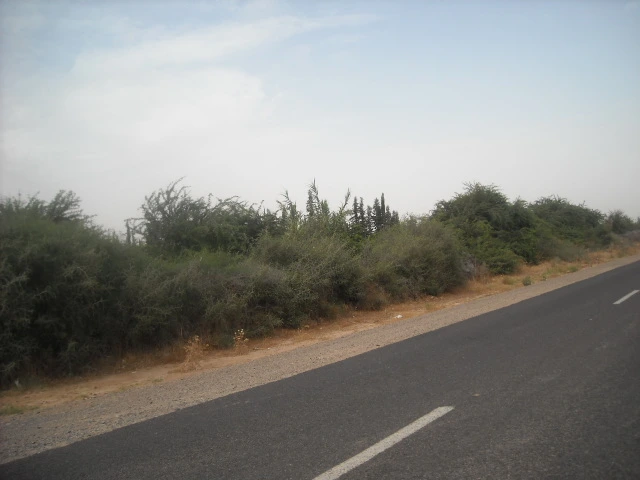 Ferme Taroudant — Réf. F13552 — photo 8 — réf. F13552