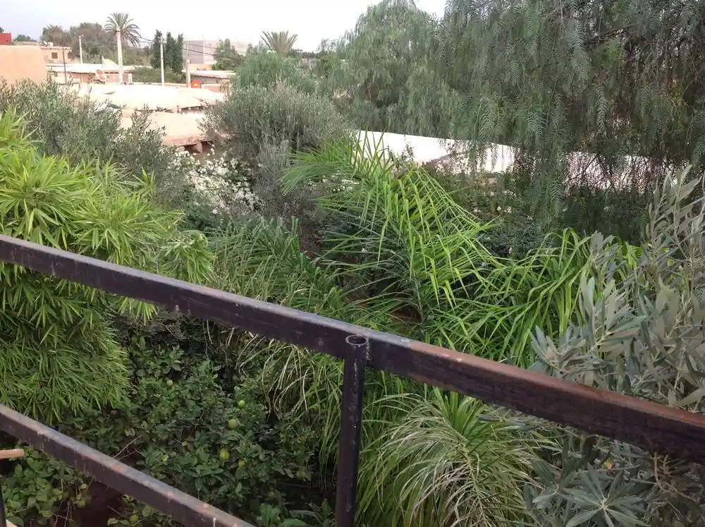 Riad de Jardin. — photo 19 — réf. RPNNB66
