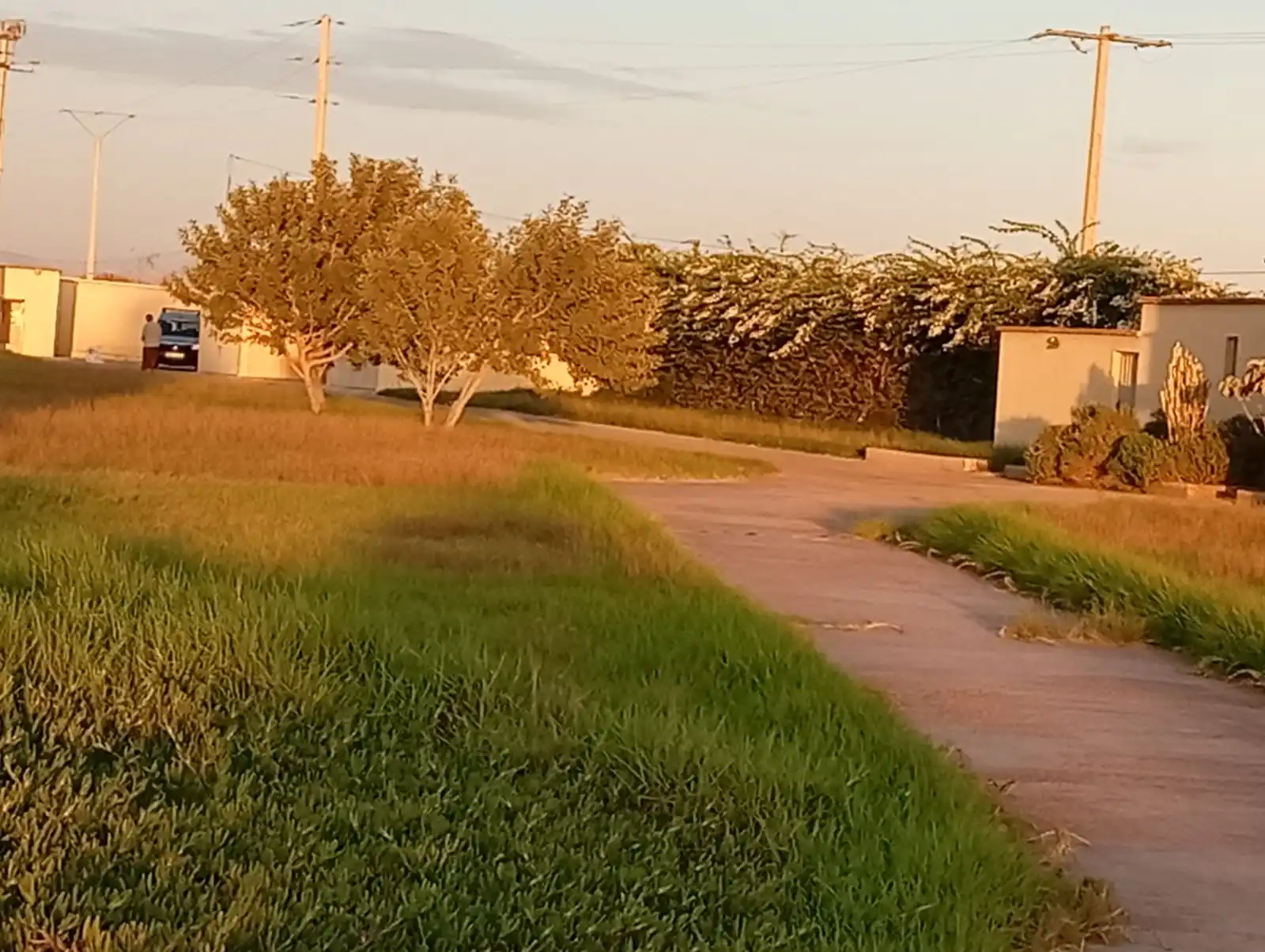 Riad avec un lac pour les oiseaux migrateurs — photo 2 — réf. R1XKW9
