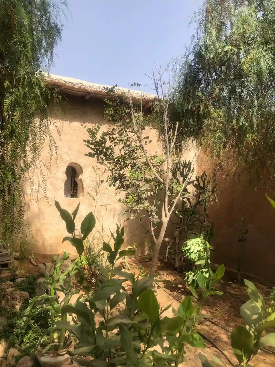 Riad de Jardin. — photo 15 — réf. RPNNB66