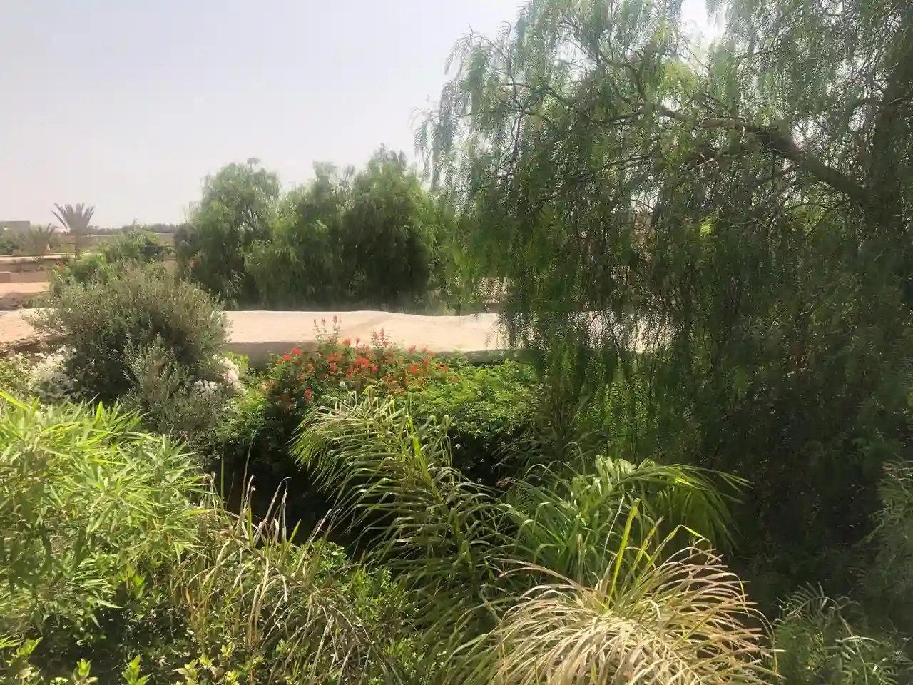 Riad de Jardin. — photo 18 — réf. RPNNB66