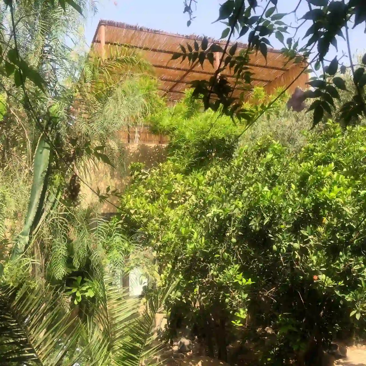 Riad de Jardin. — photo 10 — réf. RPNNB66