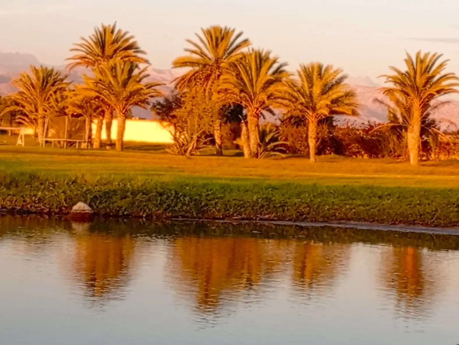 Riad avec un lac pour les oiseaux migrateurs — photo 10 — réf. R1XKW9