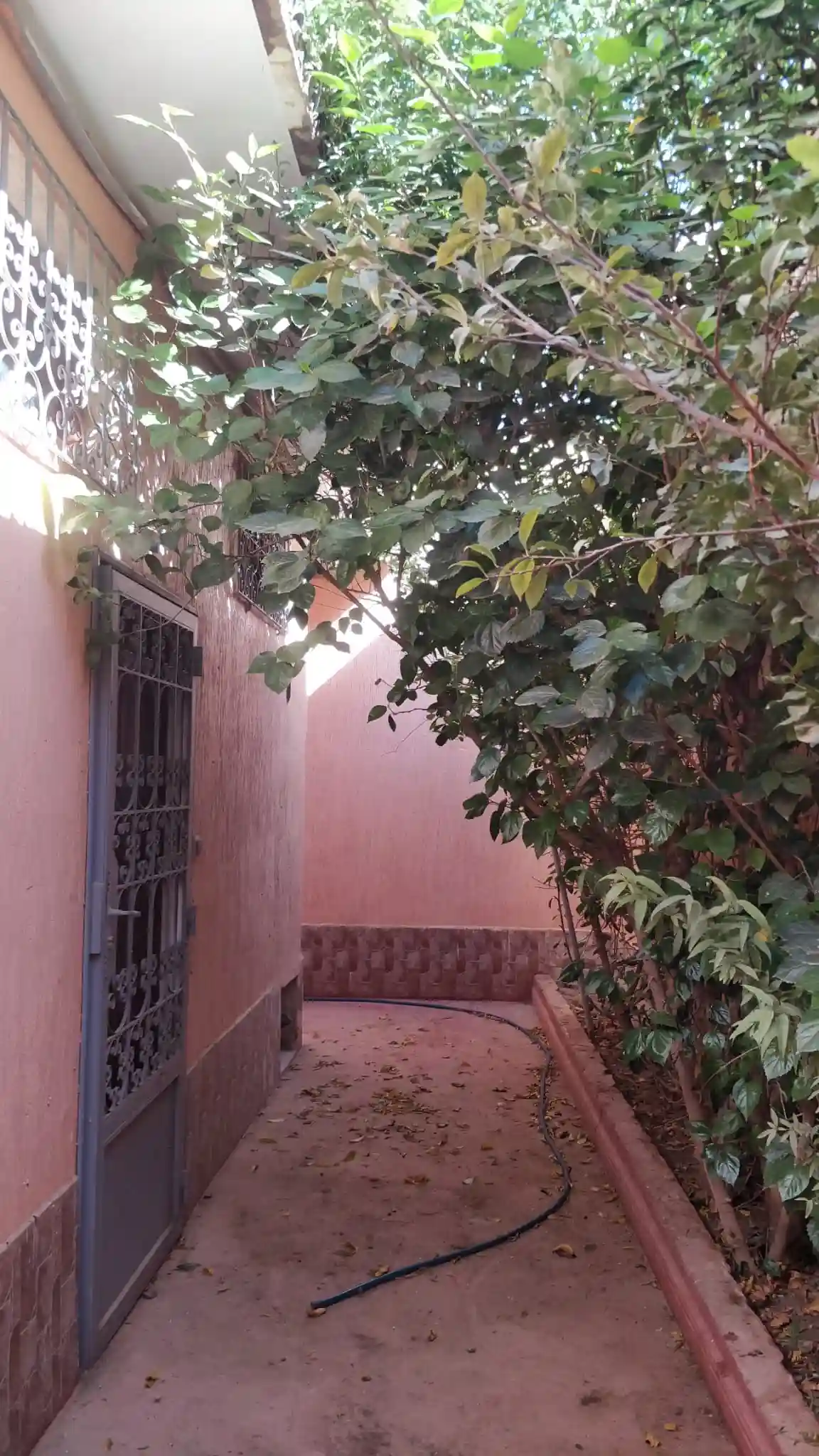 Maison Arfa — photo 8 — réf. M125LLPA3