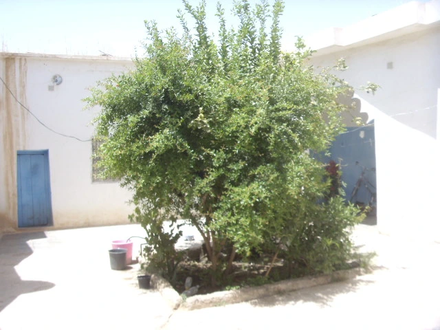 Maison en pisé à Taroudant — Réf. M13457 — photo 7 — réf. M13457
