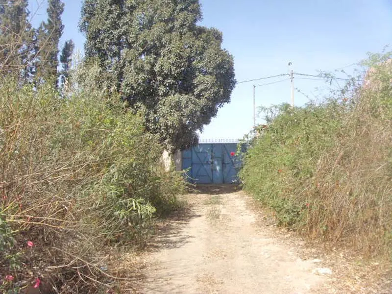 maison avec jardin taroudant — photo 10 — réf. M13556