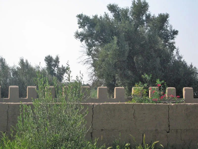 Maison à vendre à Taroudant maroc — Réf. M13741 — photo 4 — réf. M13741